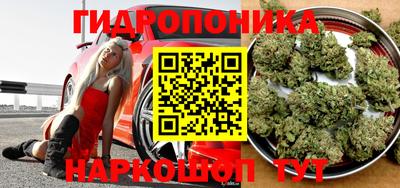 PSILOCYBIN Обнинск